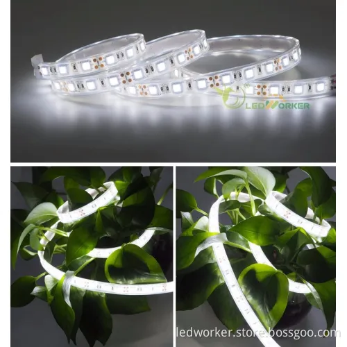 12V/24V Waterproof RGB CCT RGBCCT RGBW RGBWW LED Strip Lights - 5M 60LED Flexible Tape